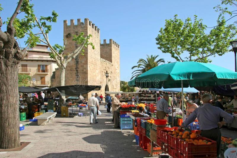 Canopus Paradise Alcudia  Exterior foto